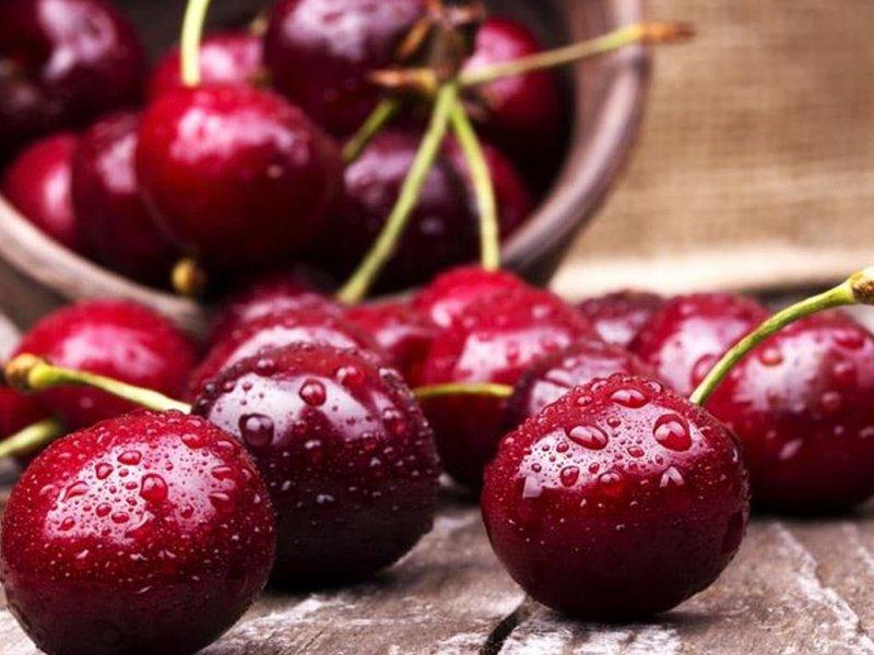 Вишня купить саженцы из питомника в Солнечногорске